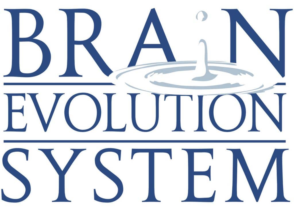 Brain Evolution System Image